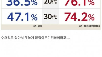 일본 방송이 분석한 한국 투표율 높은 이유.
