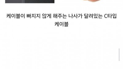 특이점이 온 C타입 케이블.