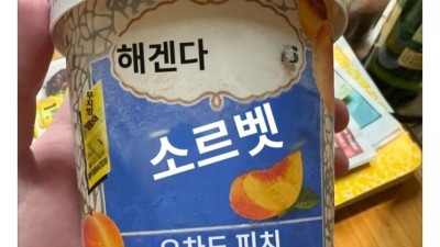 미국에서 댓글 1000개 넘게 달린 할머니집 냉장고의 하겐다즈