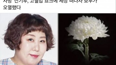 가짜 뉴스에 빡친 코미디언 신기루