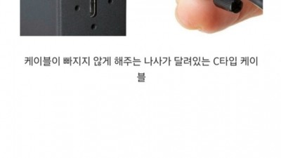 특이점이온 c타입케이블