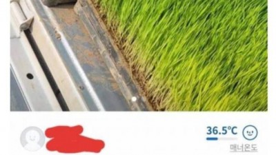 당근마켓 선 넘은 판매자