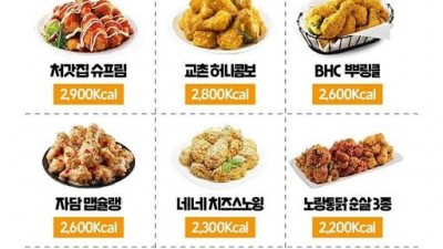 맛있으면 0칼로리라는데 치킨의 칼로리는 ㄷㄷㄷ