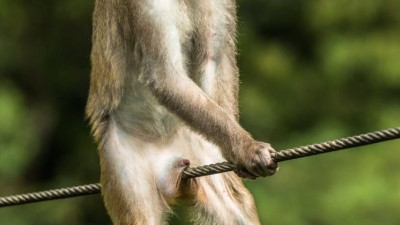 ‘아야!’(Ouch!)