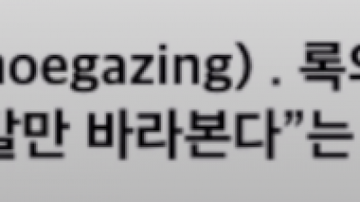 꾸준히 매니아층이 생기고 있다는 음악장르