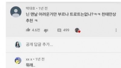  어느 유투브 악플러? 정체