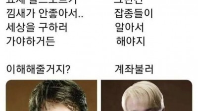 둘 중 한 사람과 조별과제  해야 한다면?