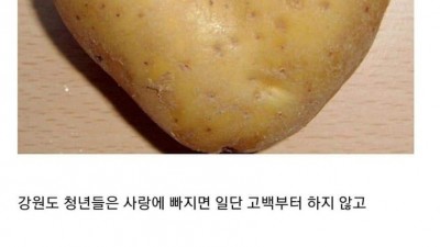 강원도 청년들이 이성에게 고백하는 법
