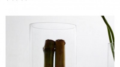 설탕을 키운 드루이드