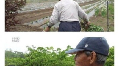 인간극장 99세 할아버지의 하루 일과