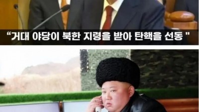 헌재 증인 김정은 ㅋㅋㅋ.jpg