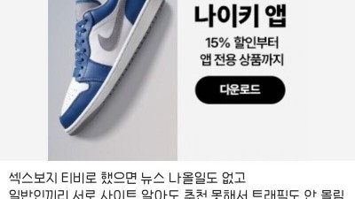 누누티비는 작명미스라는 디시인