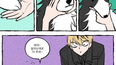 시키는거 다 하는 강아지