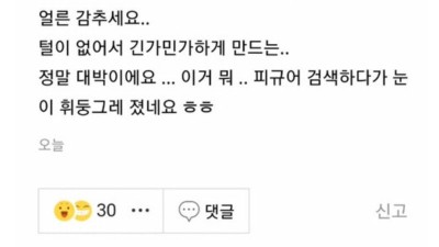 피규어 모으는 취미 어때요?
