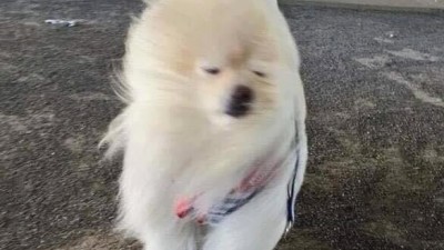다들 단추 여미십시오