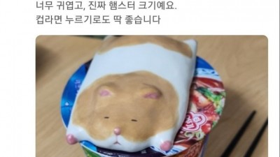 드디어 문진의 쓰임새를 알게 됨
