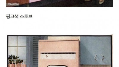한국 꽃무늬 가전보다 더 지독했던 미국 가전 트렌드