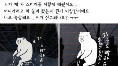 어떤 누나의 초보운전 스티커