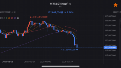 실시간 비트코인 근황