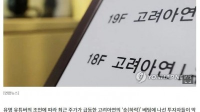 유튜브 흔한 주식 리딩방 수준