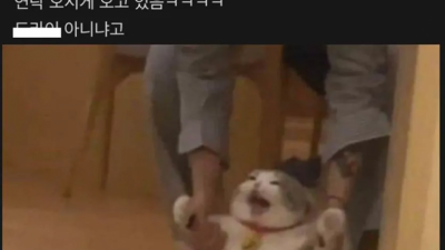 강제로 팀 이동당한 직원의 프사
