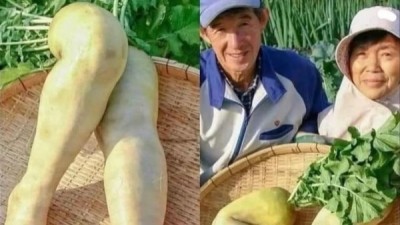 무다리 실물구경