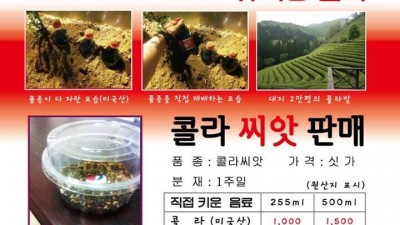 콜라 싸게 먹는법.jpg