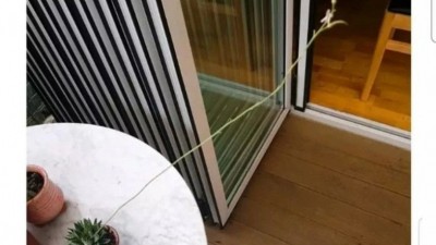 조금 이상한 식물갤 드루이드