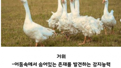 싱글벙글 가성비 최고라는 경비 시스템