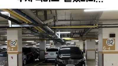 상위 0.1% 카니발 차주.jpg