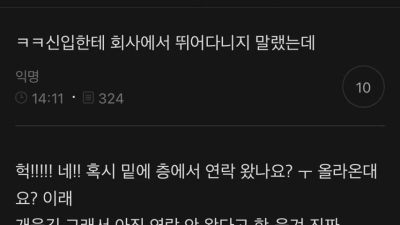 신입한테 회사에서 뛰어다니지 말랬는데
