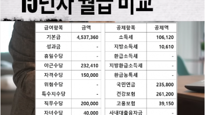대기업 VS 공무원 15년차 실수령액 비교