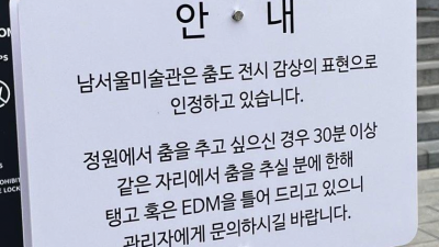 의외로 남서울 미술관에서 허용하는것