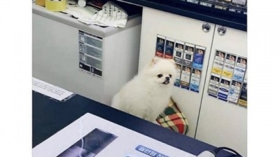 알바생이 계산할줄 모르는거같은데요