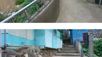 한달에 700번다는 울릉도의 유일한 쿠팡맨.jpg