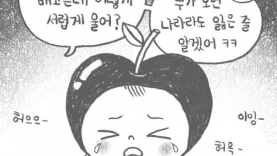 번역이 안되는 표현