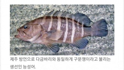 낚시꾼피셜 가장 맛있는 회 TOP 5.jpg