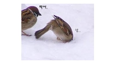   		  	    내 밑으로 싹 다 대가리 박어~.jpg