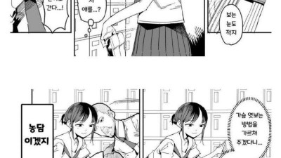 가슴 훔쳐보는 법 알려주는 만화