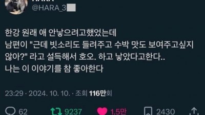 한강작가 딩크였는데 아이낳은 이유.jpg