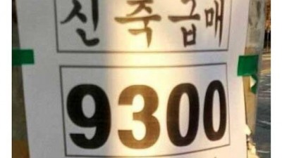 레고가 금지된 집