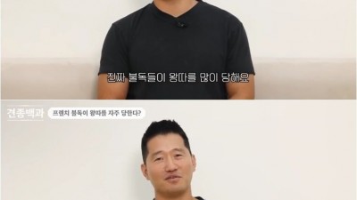 프렌치 불독이 왕따를 자주 당하는 이유.jpg
