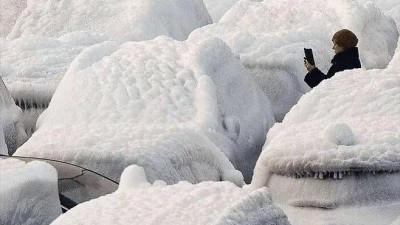 신선한 외제차 수입.jpg