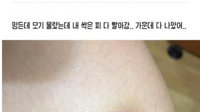 피맛이 이상한데