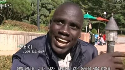 아프리카 사람이 한국에 와서 처음 본 것들