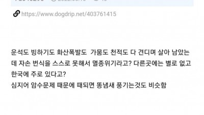 싱글벙글 한국인 그자체인 나무.jpg