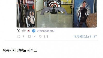 전범기 들고 한국에 간다는 원숭이