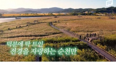 전봇대 수백 개를 뽑아버린 이유