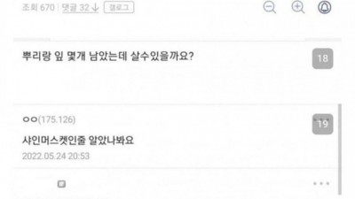 다육이를 뜯어 먹은 술취한 와이프