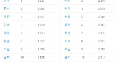 2008년~2024년 남아여아 출생 이름 랭킹